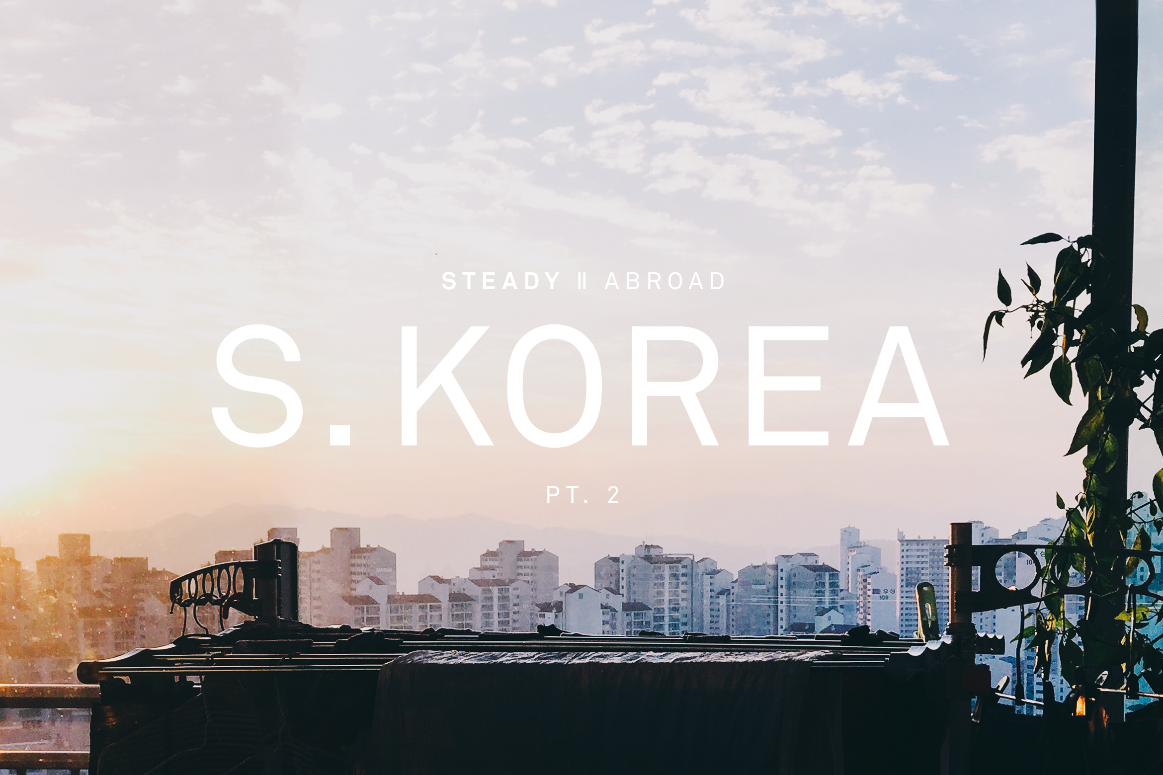 STEADY ABROAD: SOUTH KOREA PT.2