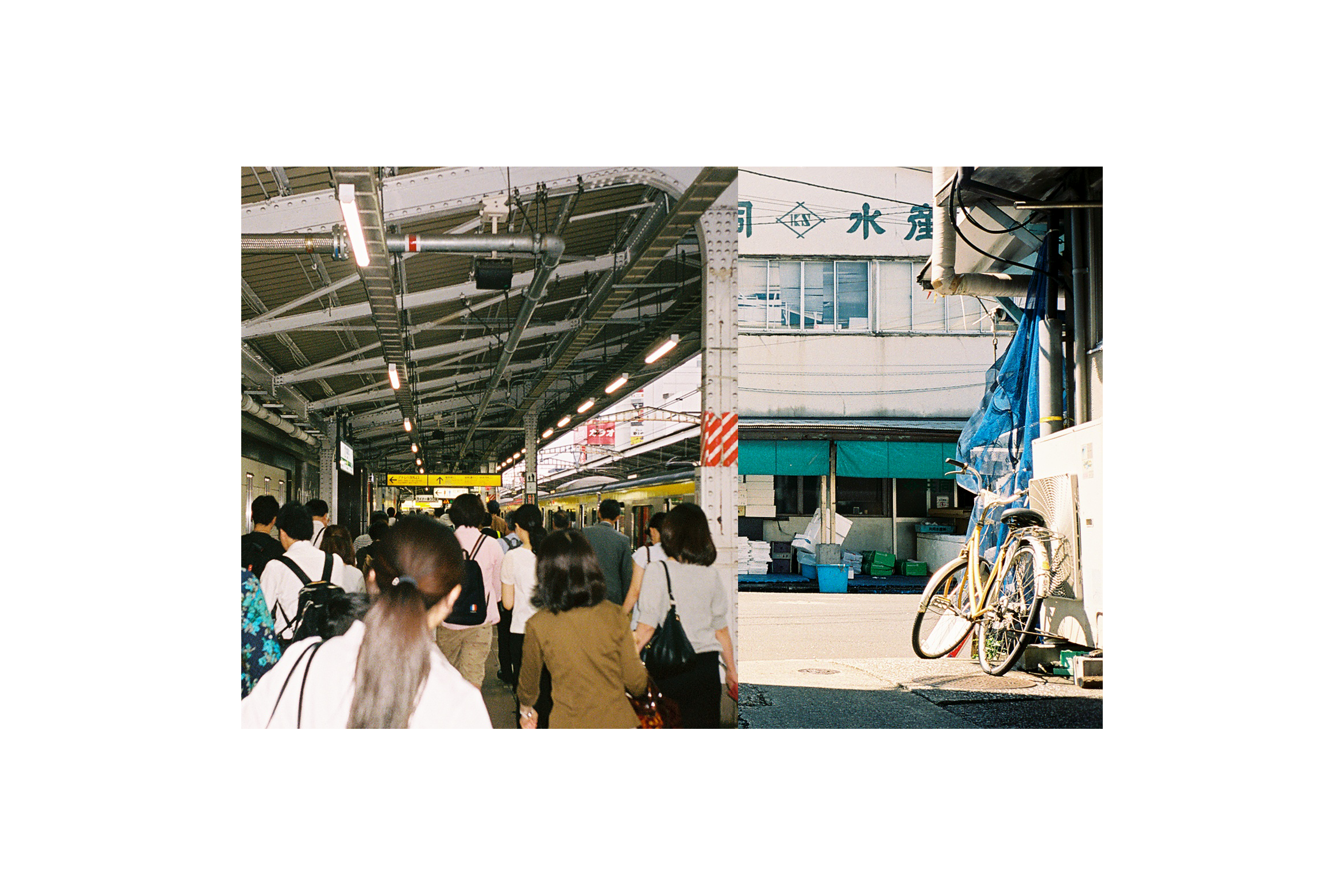 steady_tyo_cal_film_030b